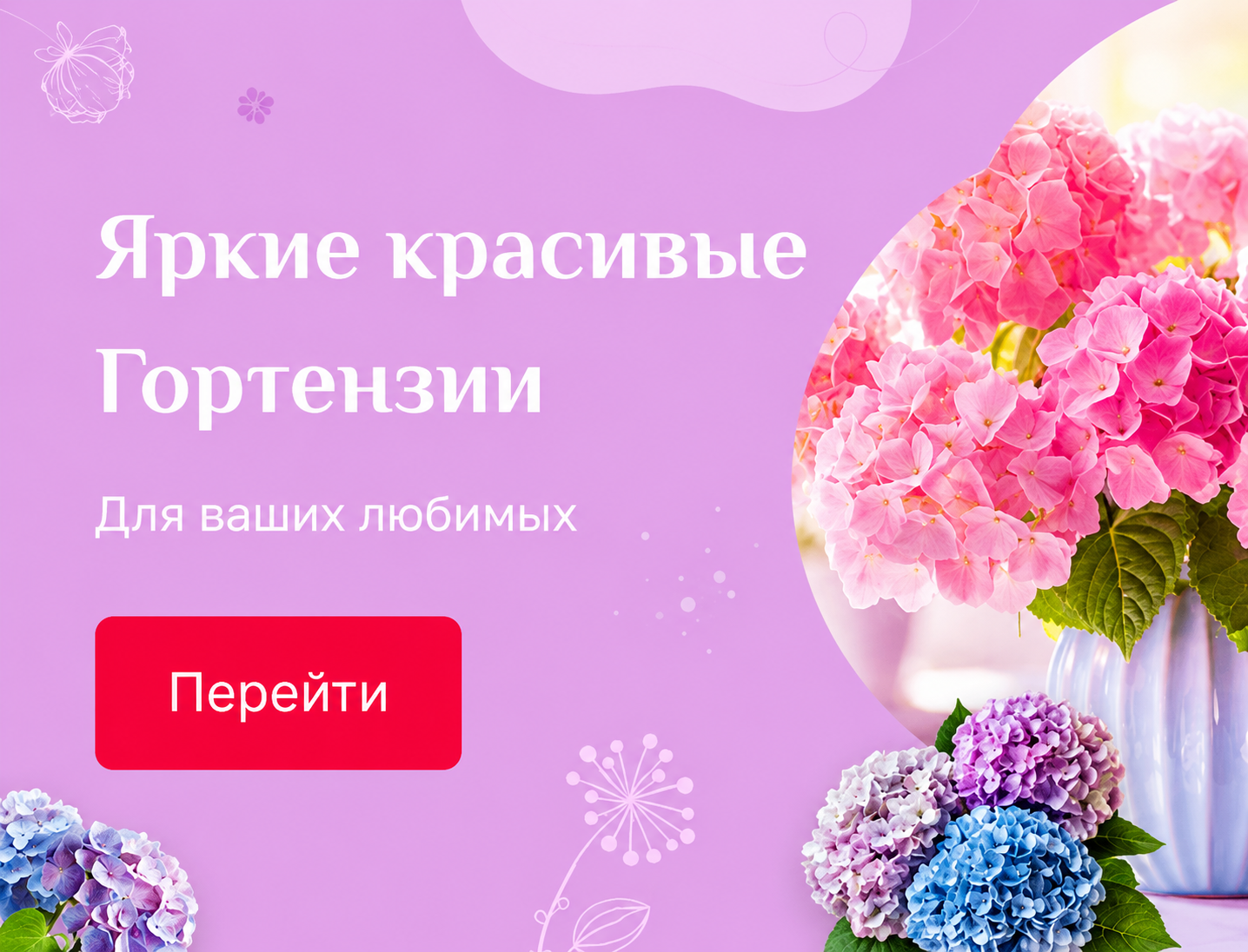 Гортензии